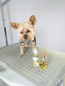 Parfum pour chien